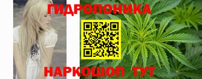 эйфоретик Пенза