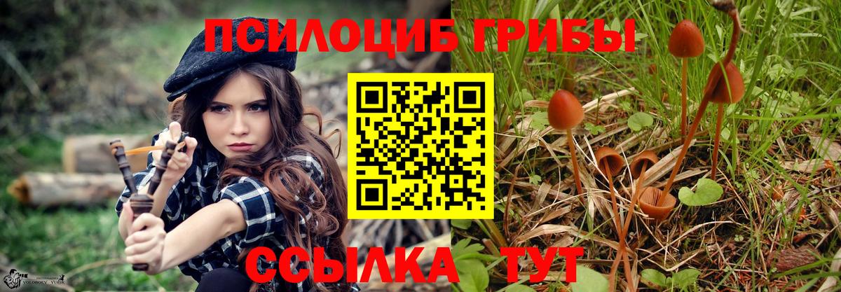 Псилоцибиновые грибы GOLDEN TEACHER  Вход с VPN  Псилоцибиновые грибы Magic Shrooms  Валуйки 