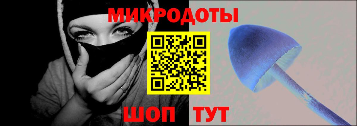 Псилоцибиновые грибы Cubensis Валуйки